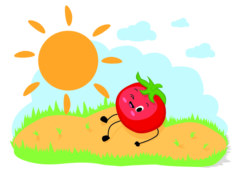 Tomaatti ottaa aurinkoa